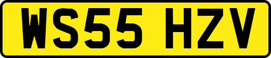 WS55HZV