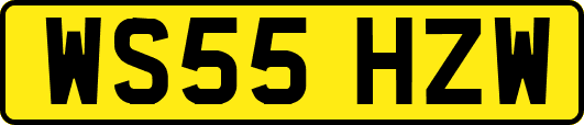 WS55HZW
