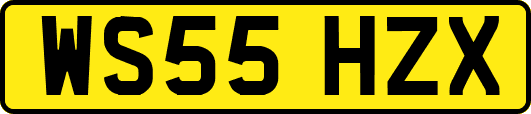 WS55HZX