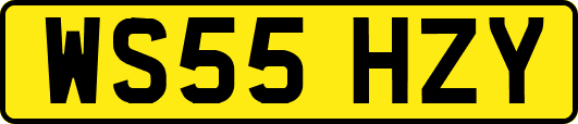 WS55HZY