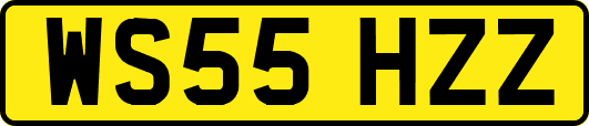 WS55HZZ