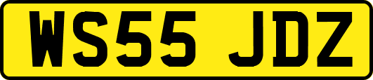 WS55JDZ