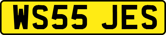 WS55JES