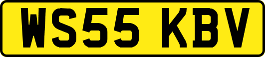 WS55KBV