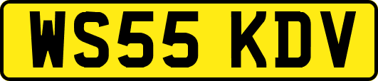 WS55KDV