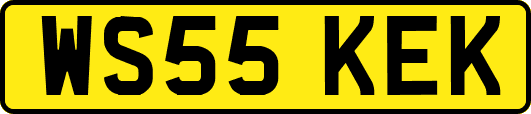WS55KEK