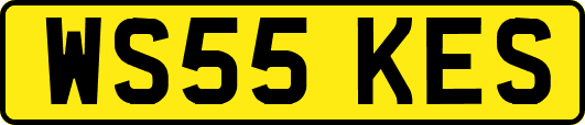 WS55KES