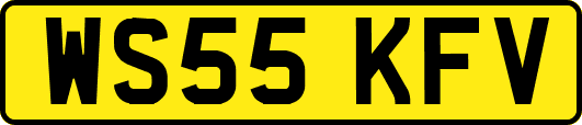 WS55KFV