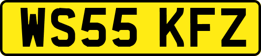 WS55KFZ