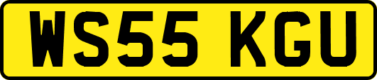 WS55KGU
