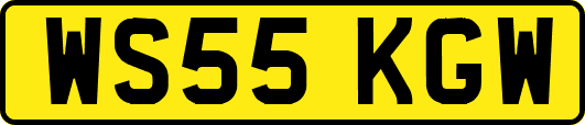 WS55KGW