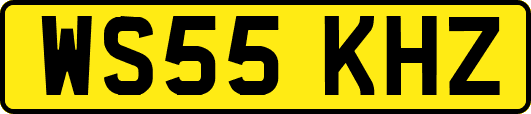WS55KHZ