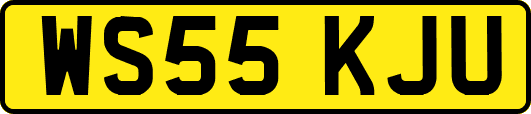 WS55KJU