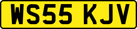 WS55KJV