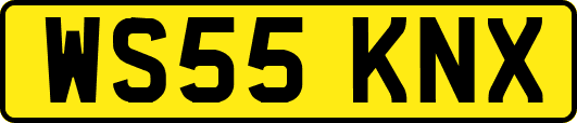 WS55KNX