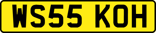 WS55KOH