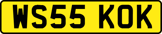 WS55KOK