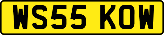 WS55KOW
