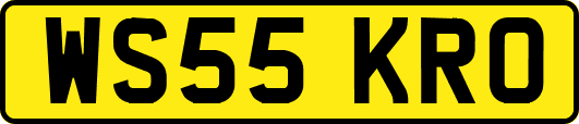 WS55KRO