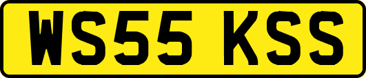 WS55KSS