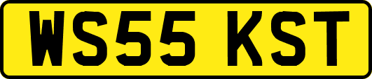 WS55KST