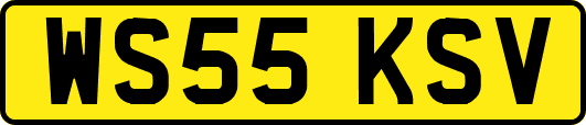 WS55KSV