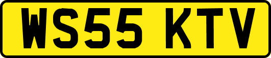 WS55KTV
