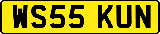 WS55KUN