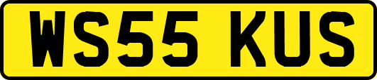 WS55KUS