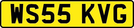 WS55KVG
