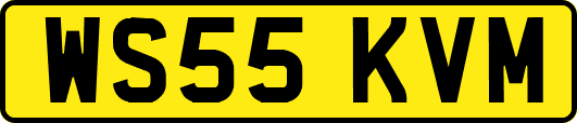 WS55KVM