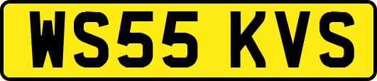 WS55KVS