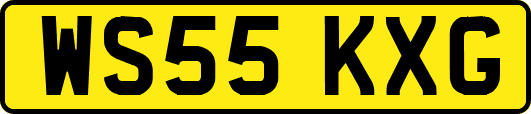 WS55KXG