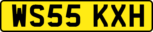 WS55KXH