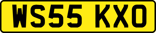 WS55KXO