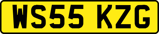 WS55KZG