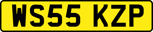 WS55KZP