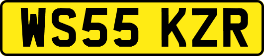 WS55KZR
