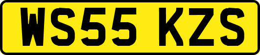 WS55KZS