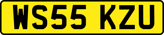 WS55KZU
