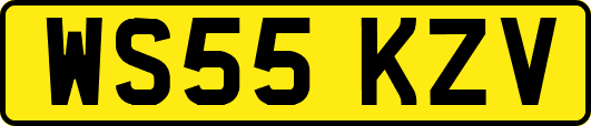 WS55KZV