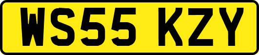 WS55KZY