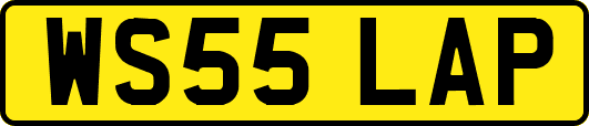WS55LAP