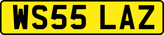 WS55LAZ