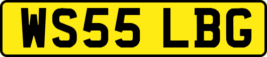 WS55LBG