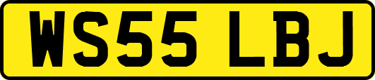 WS55LBJ