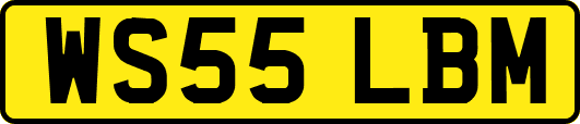 WS55LBM