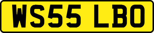 WS55LBO