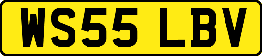 WS55LBV