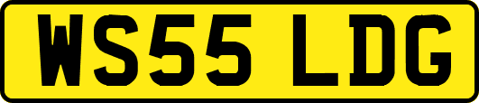 WS55LDG